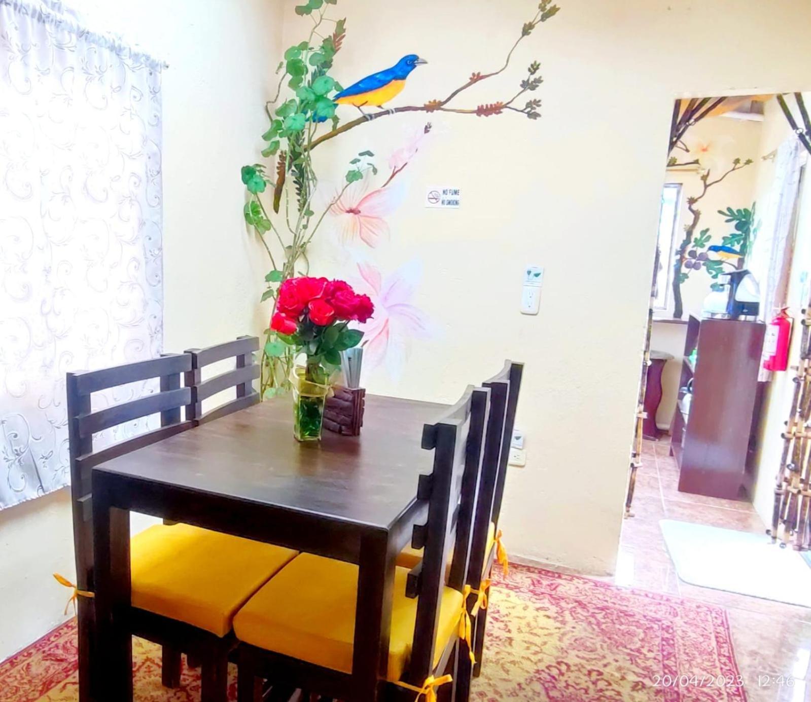 Itchimbia Garden Con La Mejor Vista De Quito Y Spa Zewnętrze zdjęcie